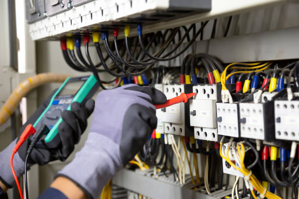 Best Electrical Panel Upgrades  in Holstein, IA